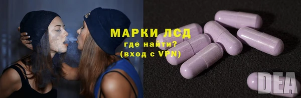 гидра Горнозаводск