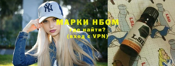 стафф Алексин