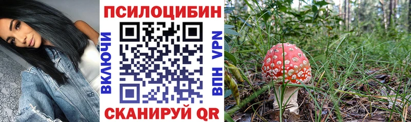 Галлюциногенные грибы Cubensis  ОМГ ОМГ зеркало  Нижний Новгород 